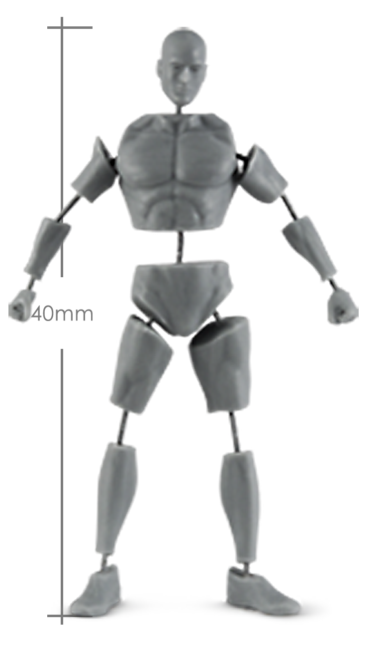 Male Anatomy Set - 40mm_ Michael Kontraros Collectibles